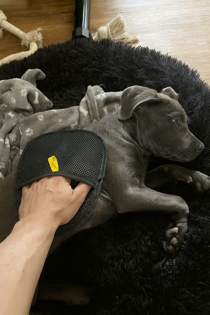 Fourpaw® Hair Remover